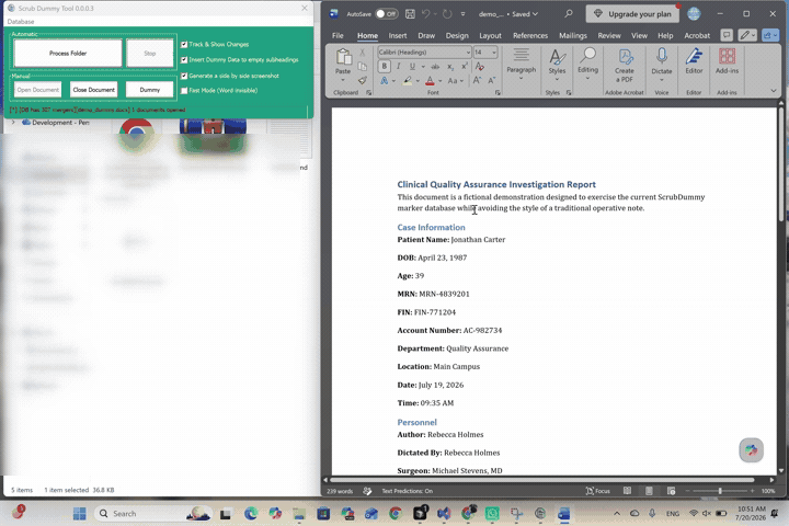 ScrubDummy replacing identified values in a clinical Word document on a local Windows computer